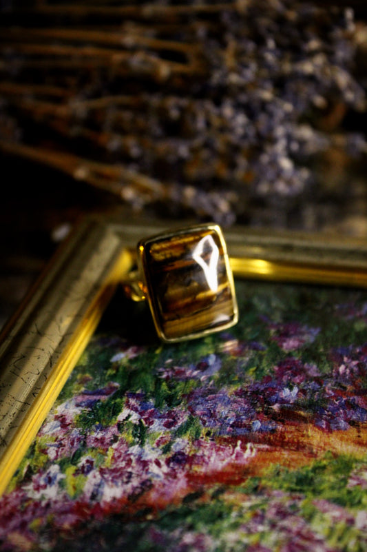 L’Élue - Oeil de tigre