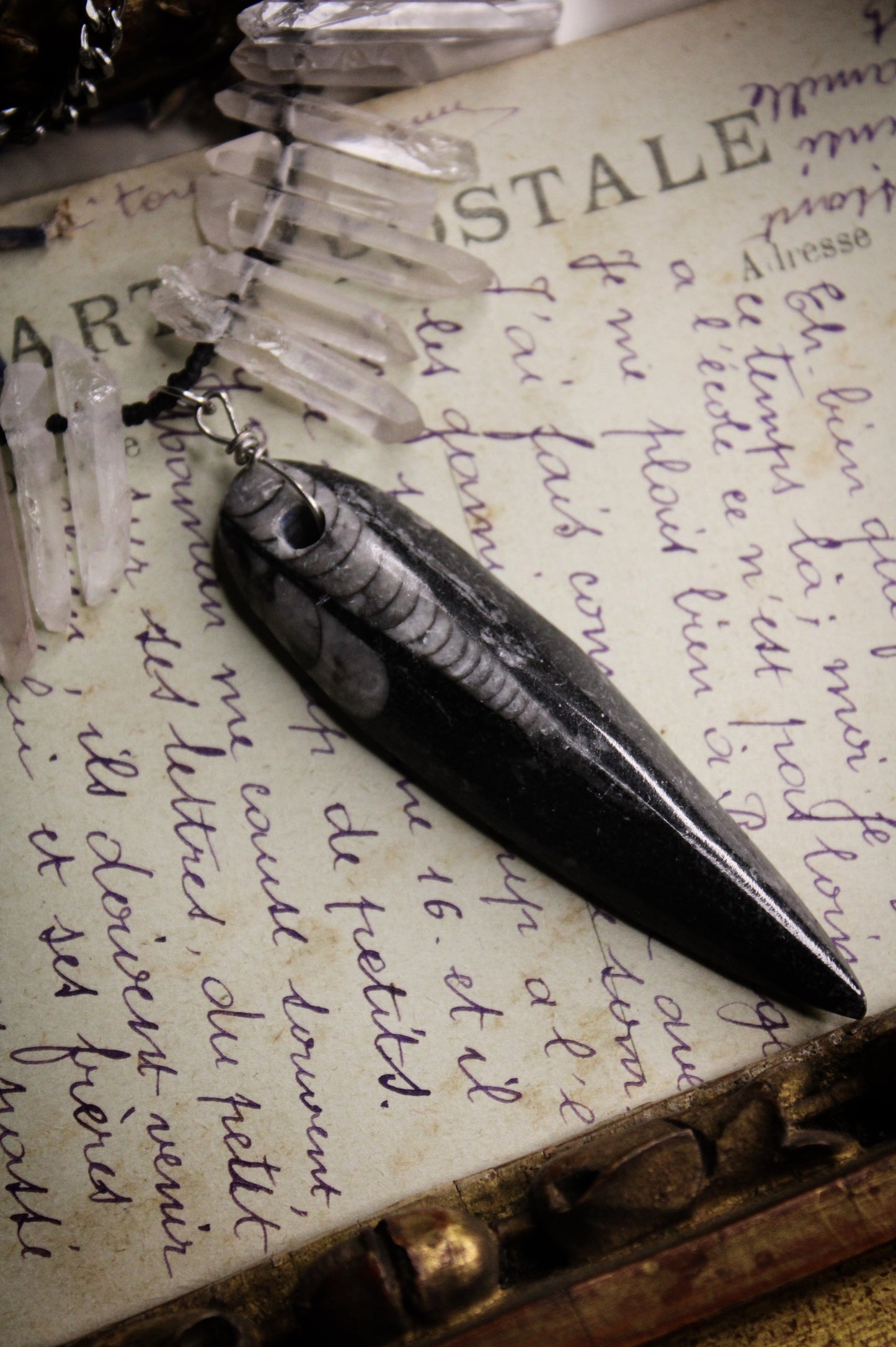 Back to origins - Quartz, Orthoceras