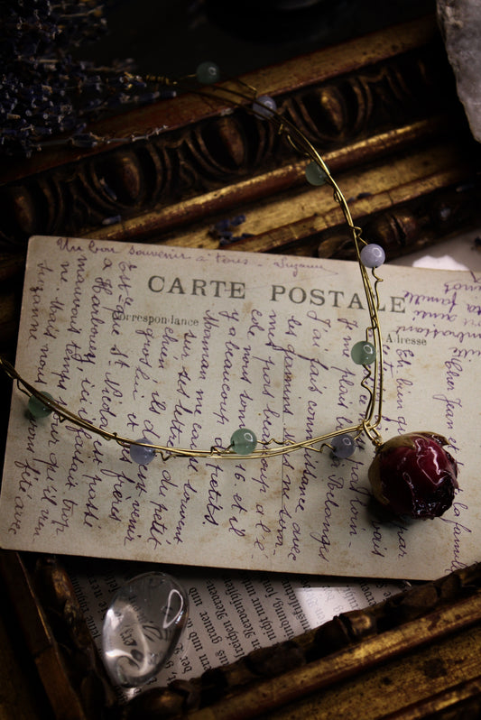 Le jardin des roses