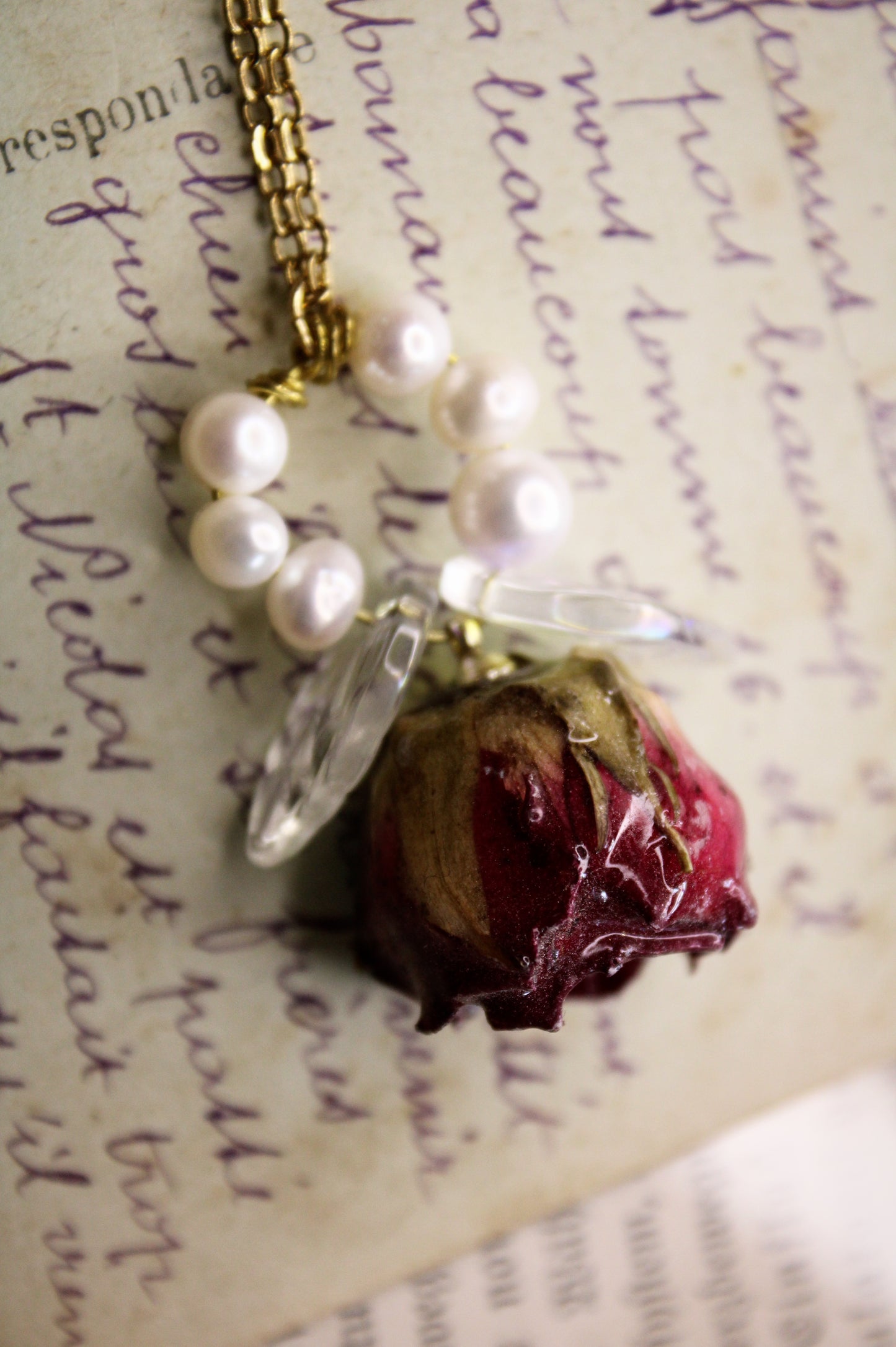 Le jardin des roses